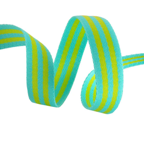 Tula Pink Webbing - Lime and Turquoise - 1
