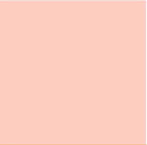 Ruby and Bee Solids - Blush - Half Yard