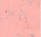 Ruby Star Society - Speckled - Rashida Coleman-Hale - Speckled in Metallic Cotton Candy 37M - Half Yard