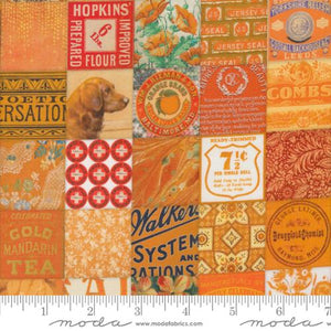 Cathe Holden "Curated in Color" -  Patchwork in Orange