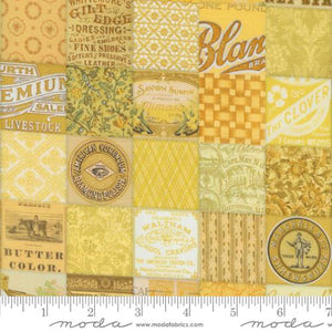 Cathe Holden "Curated in Color" -  Patchwork in Yellow