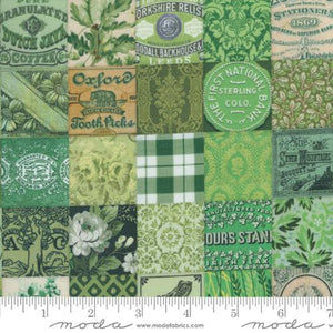 Cathe Holden "Curated in Color" -  Patchwork in Green