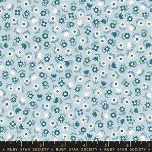 Ruby Star Society "Picture Book" - Floral in Water Blue - Half Yard