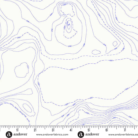 Alison Glass Sun Print 