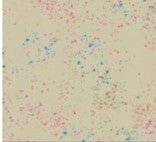 Ruby Star Society - Speckled - Rashida Coleman-Hale - Speckled in Metallic Khaki 66M - Half Yard
