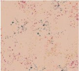 Ruby Star Society - Speckled - Rashida Coleman-Hale - Speckled in Metallic Sunstone 19M - Half Yard