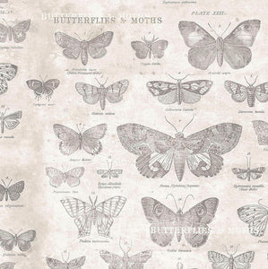 Tim Holtz "Monochrome" Butterflies - Parchment
